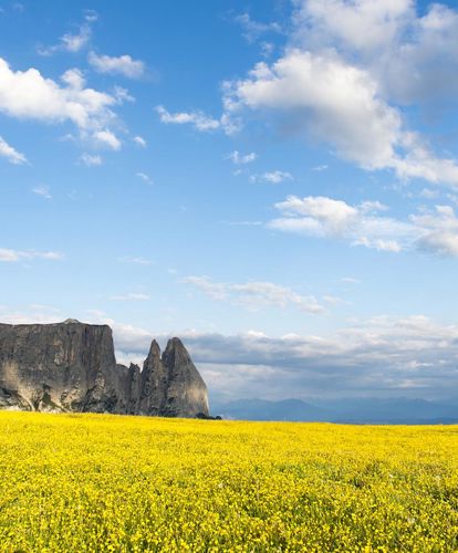 home-alpe-fiorigialli1