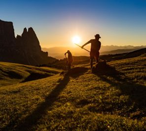 seiser-alm-heuarbeiten-seiser-alm-marketing-wolfgang-gafriller